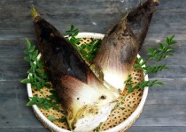 「朝堀りタケノコ」