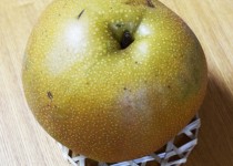 「梨　いただきました」