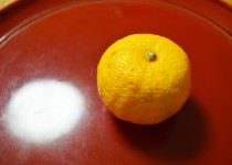 「冬至なのに・・・」
