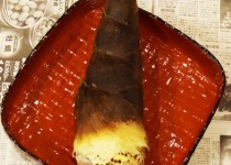 「タケノコ　筍　いただきました」