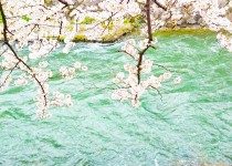 「冷泉通り」