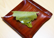 「ＧＷ　その2」