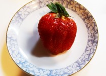 「きょうのおやつ」