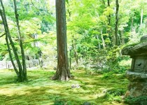 「昨日から・・・」