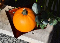 「宵山ハロウィン」