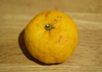 「ようやく・・・」