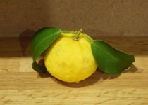 「インフル」