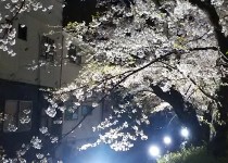 「いい天気過ぎますね」