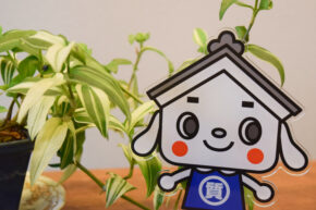 つゆ草
