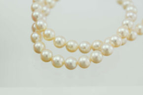 パール　真珠　ネックレス